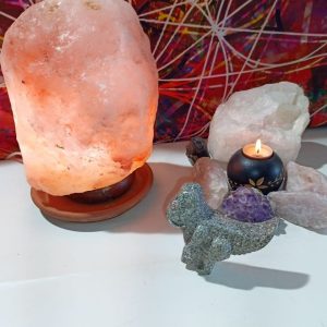 Orgonita Electronite Dinosaurio decorativo Grande Mod. 1