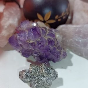 Dinosaurio pequeño Orgonita Electronite Modelo 4