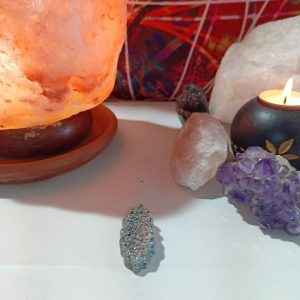 Hoja Alargada decorativa con Picos de Orgonita - Electronite