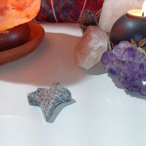 Hoja en Punta de Orgonita - Electronite