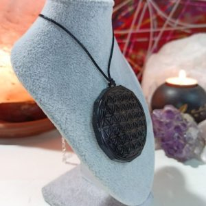 Orgonita Flor de la Vida Magnetita Colgante