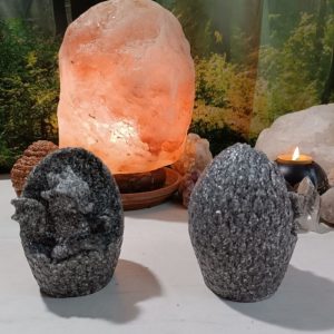 Dinosaurio Huevo Orgonita-Electronite